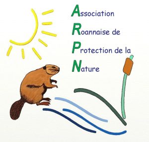 ARPN