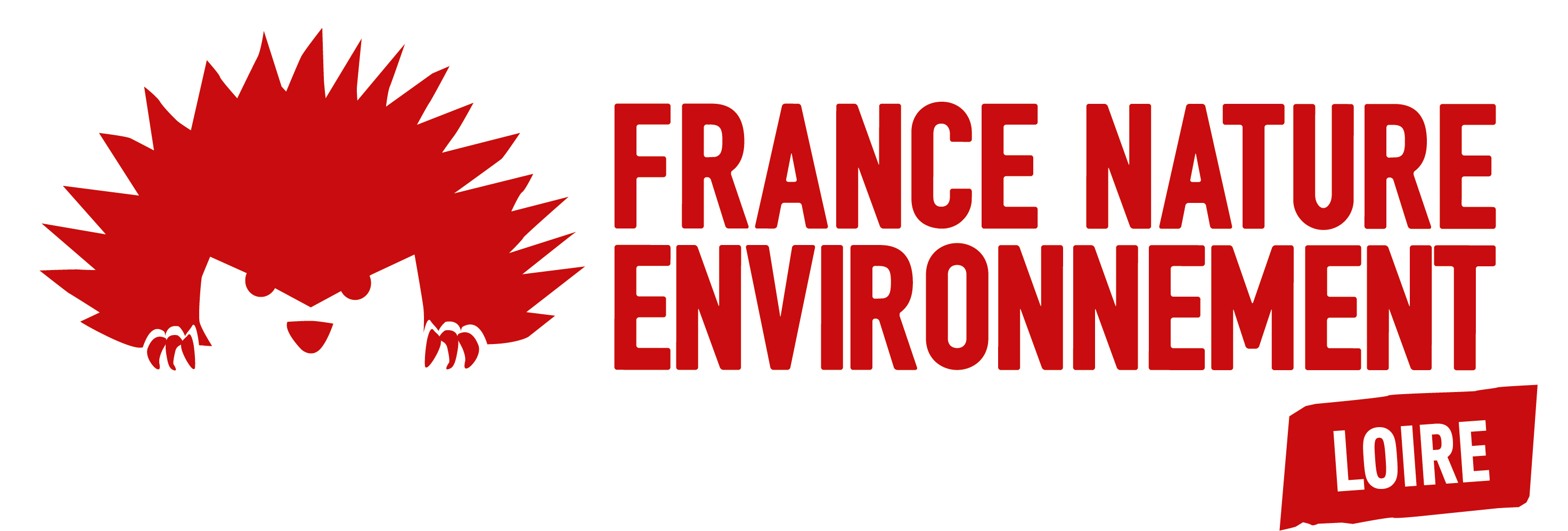 FNE_Loire_logo_horizontal
