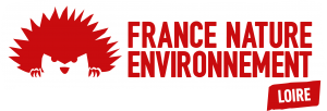 logo FNE 42