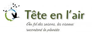 LPO-tete-en-l-air