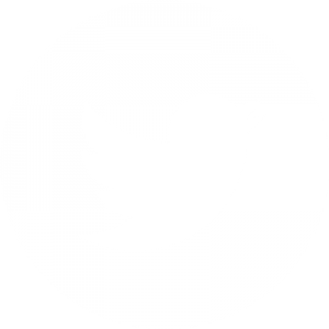 Twitter blanc circulaire