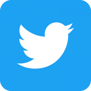 twitter bleu arrondi