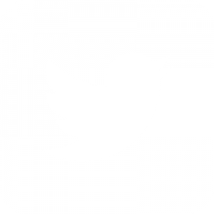 twitter blanc arrondi