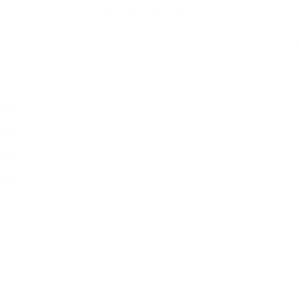 twitter blanc carré