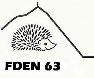 logo-FDEN