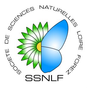 logocouleur ssnlf