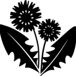 Végétaux
